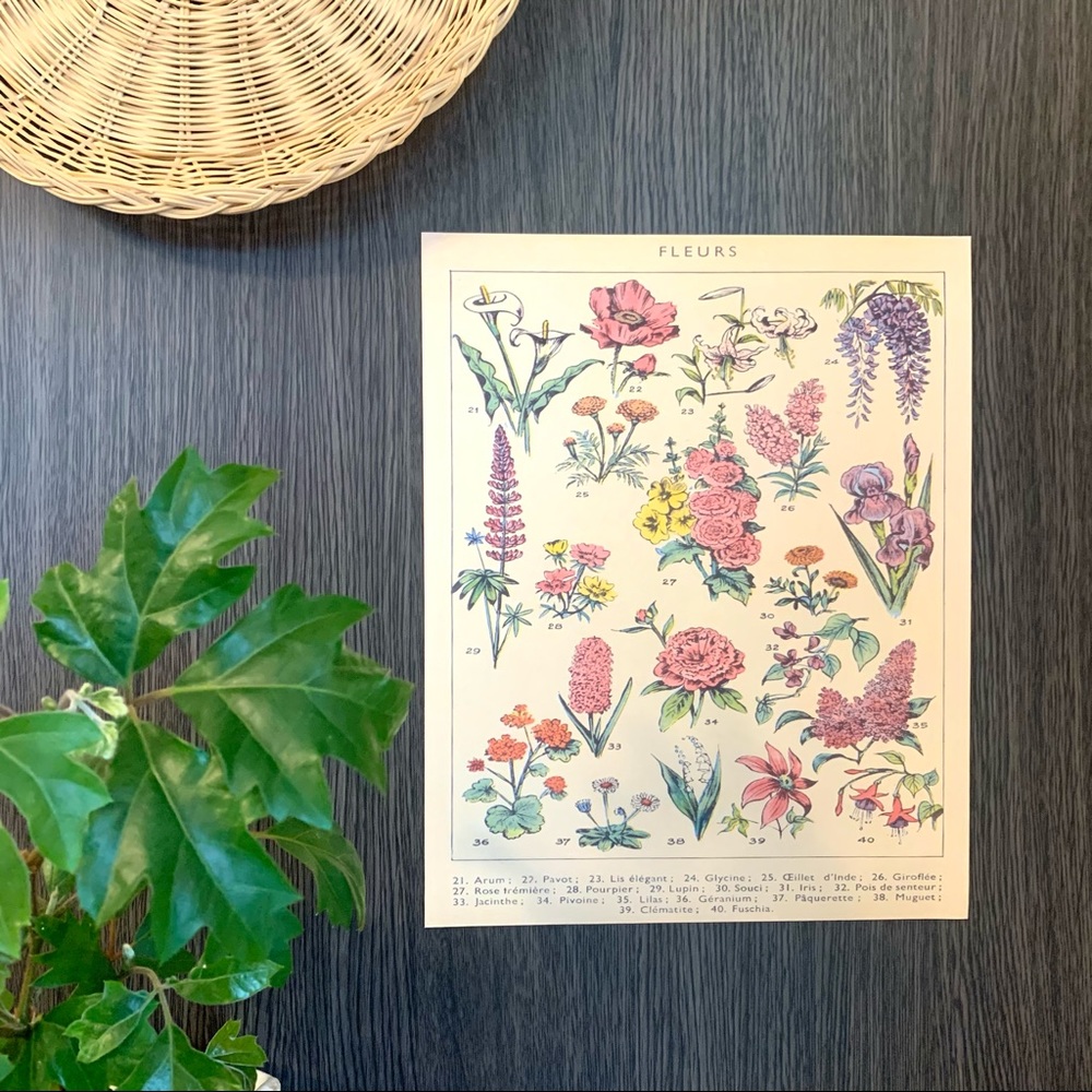 Vintage French 1909 Fleurs Floral Print 2 of 2